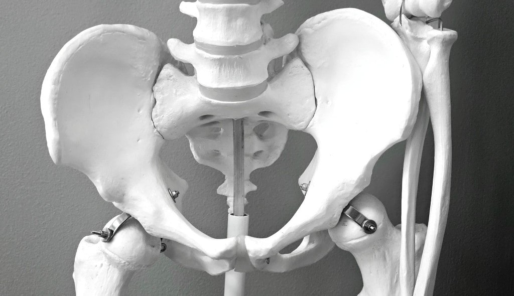 Hip Replacement